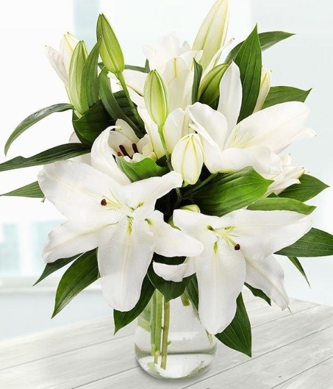 Valentines Pure White Lilies